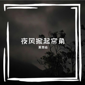 藤影爬墙覆新晴