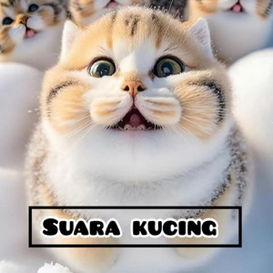 Suara Kucing