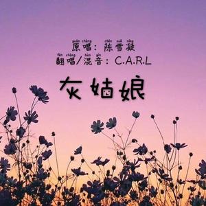 灰姑娘（低音男版）（翻自 陈雪凝）