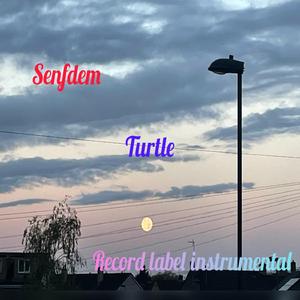 Turtle Instrumental