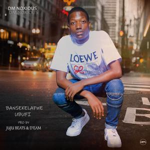 Bansekelafwe ubufi