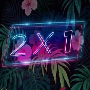 2 X 1