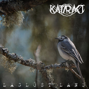 Laglöst Land