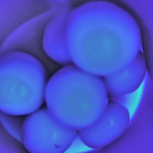 新世界第一个茧（prod. brokeboiishawty）