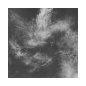 Cold, unpitying was my love.