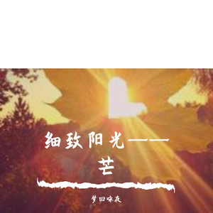 细致阳光——芒