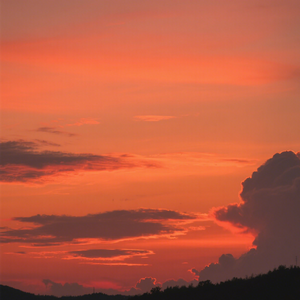 浮生一梦度芳辰
