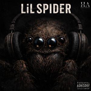 Lil Spider
