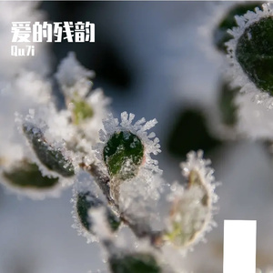 云山雾海