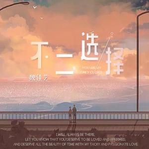 不二选择 (DJ版)