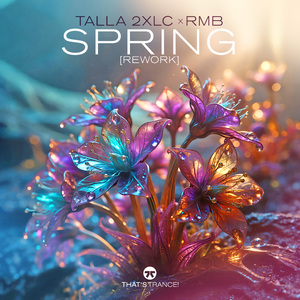 Spring (Rework) (Extended Mix)
