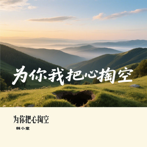为你把心掏空