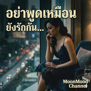 เพลง อย่าทำเหมือนยังห่วง