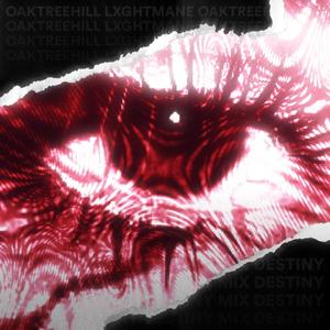 DESTINY (feat. oaktreehill) (LXGHTMANE MIX)