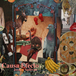 Causa Efecto