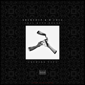 Call Acid House (Original Mix)