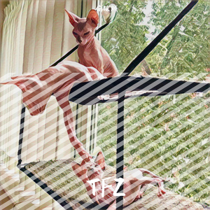 动物派对（prod by Jianastic.X）