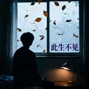 此生不见（demo）