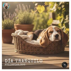 Día tranquilo