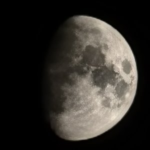 结冰的汉江上有猫在走改进（7Revive remix）