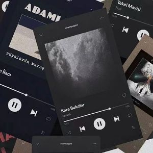 夜巴黎 魏小然.m4a.