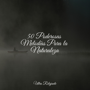 Meditación Sin Consolidar