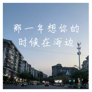 想你的海边