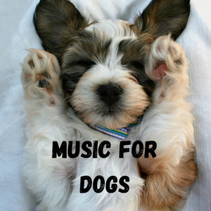 Music For Dogs