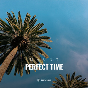Perfect Time (Radio Edit)