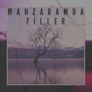 Manzaramda Filler