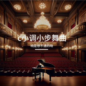 c小调小步舞曲