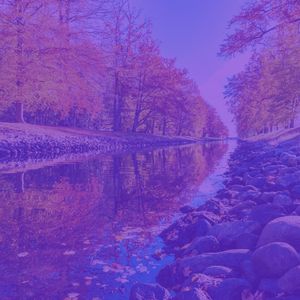 一尘不染桑拿印象数