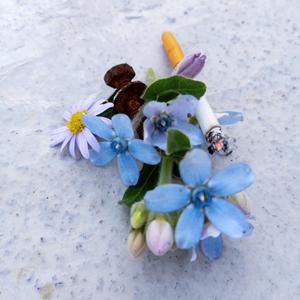 这里的夏天有腐烂的味道