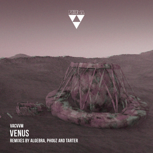 Venus (Algebra Remix)