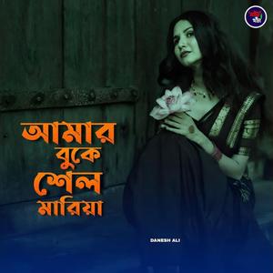 আমার বুকে শেল মারিয়া