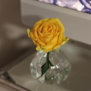 무너지지 않는 선