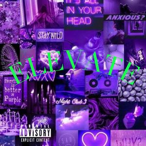 1234 Freestyle