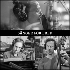 I natt jag drömde något som