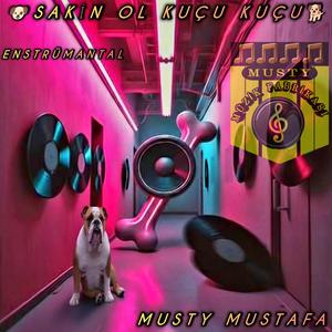 Sakin Ol Kuçu Kuçu