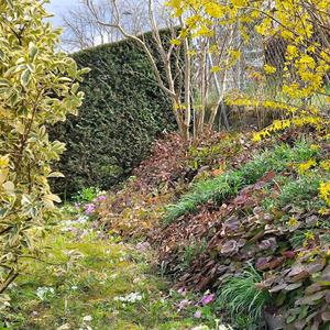 let it happen (sweedheart)