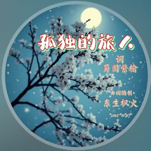 孤独的旅人