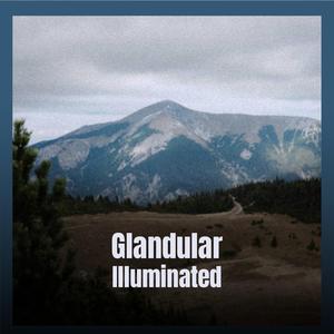 Sleepover Transformations