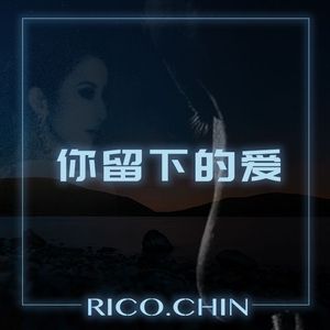 你留下的爱（Cover CoCoLee）