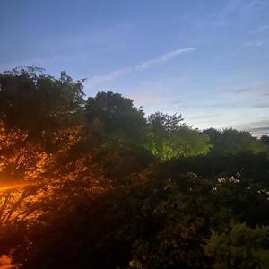 Drool (feat. jaize & Duulic)