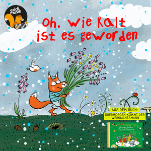 Stern über Bethlehem