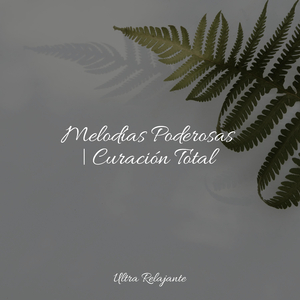 Desintoxicar el Cuerpo