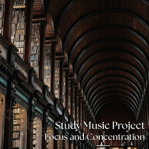 Study Music Alpha Waves