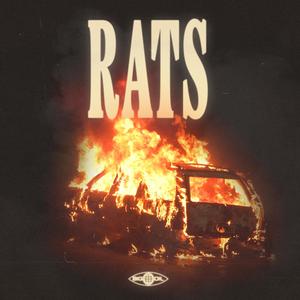Rats