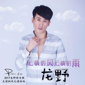 无情的风无情的雨伴奏