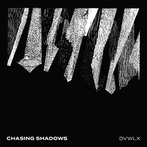 Chasing Shadows